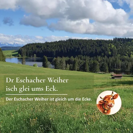 Allgaeu-juwel *